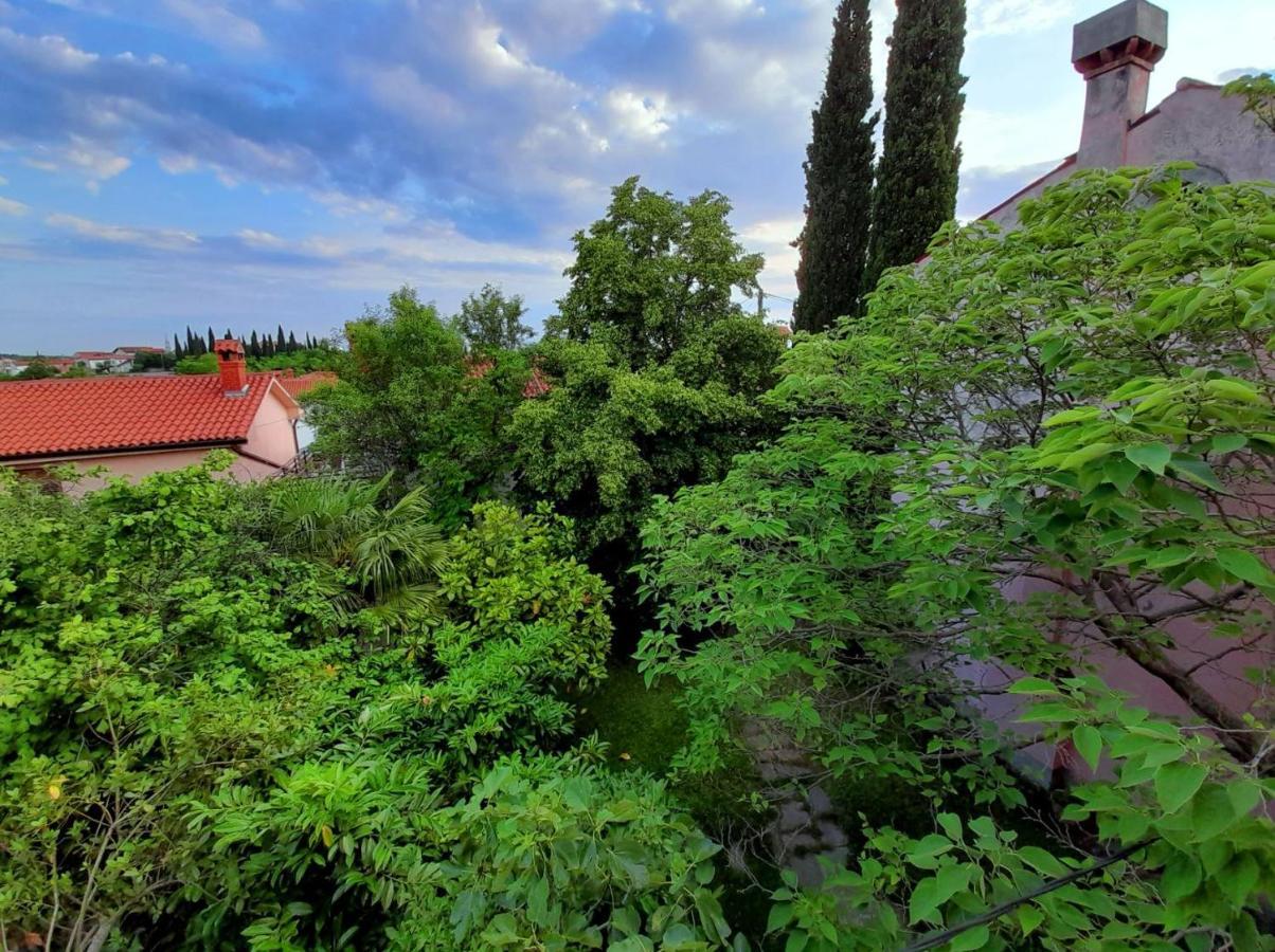 Traditional Istrian Stone House Šmarje Extérieur photo