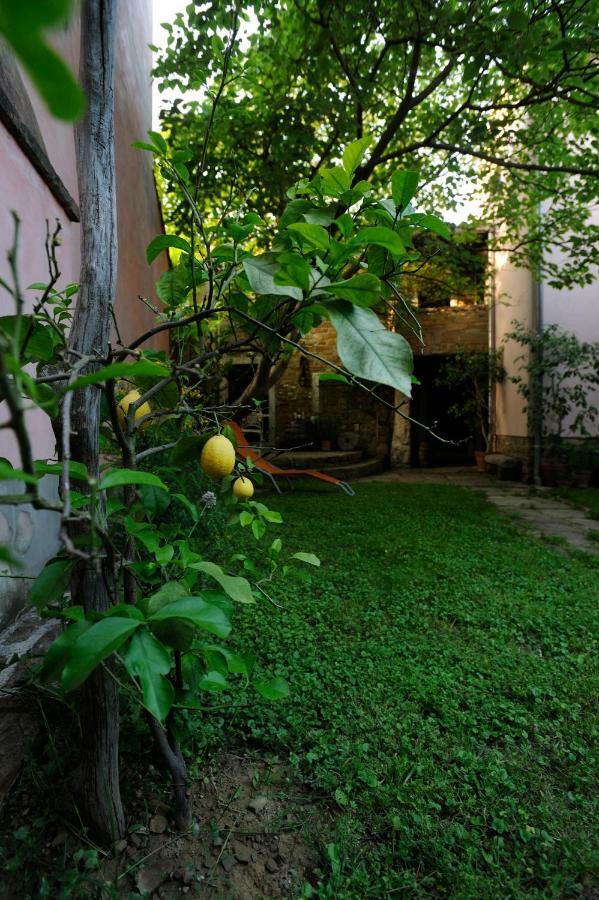 Traditional Istrian Stone House Šmarje Extérieur photo