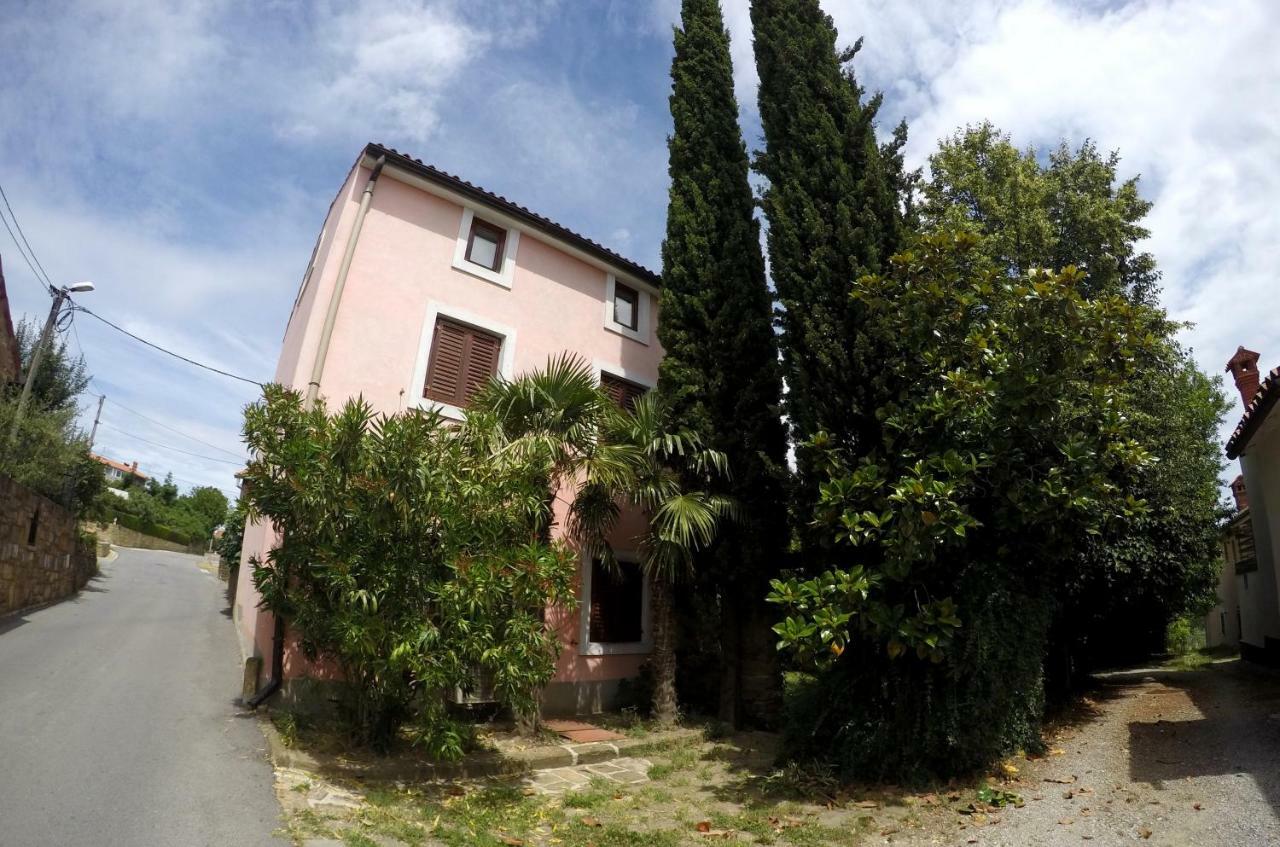 Traditional Istrian Stone House Šmarje Extérieur photo